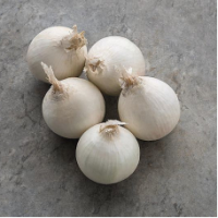 Семена Лука Стардаст Семена Лука Стардаст