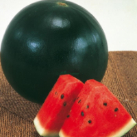 Семена Арбуза Мулат F1 Семена Арбуза Мулат F1