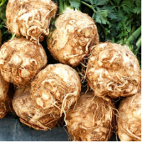 Семена Сельдерея корневого Диамант Семена Сельдерея корневого Диамант