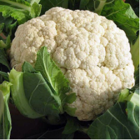 Семена Капусты цветной Севилла F1