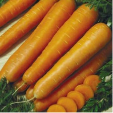 Семена Моркови Нантская 4