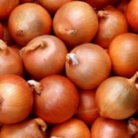 Семена Лука Манас F1 Семена Лука Манас F1