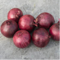 Семена Лука Робин Семена Лука Робин