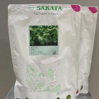 Семена Кориандра Санто