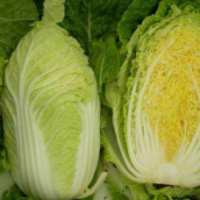 Семена Пекинки Табалуга F1 Семена Пекинки Табалуга F1