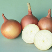 Семена Лука Сангро F1 Семена Лука Сангро F1