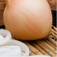 Семена Лука Музыка F1 Семена Лука Музыка F1