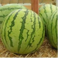 Семена Арбуза Регус F1 Семена Арбуза Регус F1