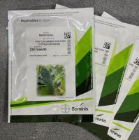 Семена Огурца Меренга F1