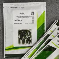 Семена Огурца Маша F1