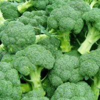 Семена Брокколи Наксос F1