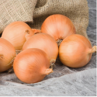 Семена Лука Алонсо F1 Семена Лука Алонсо F1