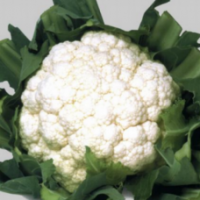 Семена Капусты Цветной Уайтэксел F1 Семена Капусты Цветной Уайтэксел F1