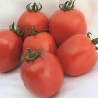 Семена Томата Агрессор F1