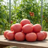 Семена Томата Мей Шуай F1