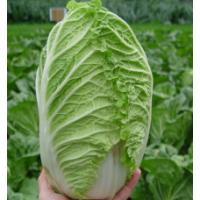 Семена Пекинки Ричи F1