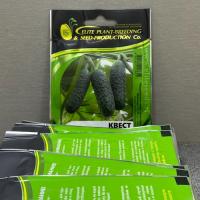 Семена Огурца Квест F1