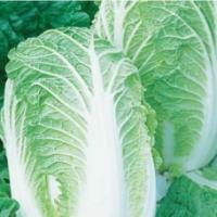 Семена Пекинки Юки F1