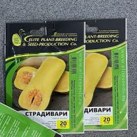 Семена Тыквы Страдивари F1