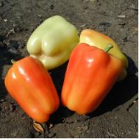 Семена Перца Фламинго F1