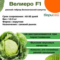 Семена капусты Велиеро Семена капусты Велиеро