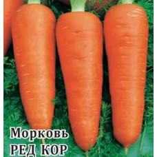 Семена Моркови Ред Кор