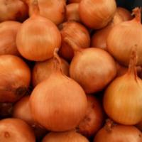 Семена Лука Бонус F1 Семена Лука Бонус F1