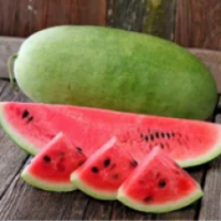 Семена Арбуза Эль Уафи F1 Семена Арбуза Эль Уафи F1