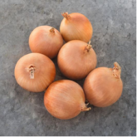 Семена Лука Седона F1 Семена Лука Седона F1