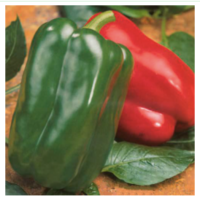 Семена Перца Аркано F1