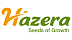 Hazera Hazera