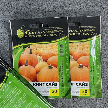 Семена Тыквы Кинг Сайз