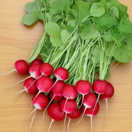 Семена Редиса Белокрайка