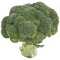 Капуста брокколи