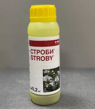 Фунгицид Строби ВДГ