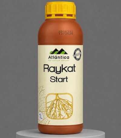 Райкат Старт (Raykat Start, Atlantica)