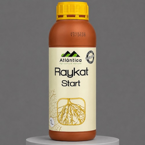 Райкат Старт (Raykat Start, Atlantica)