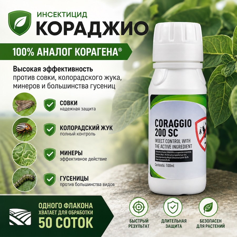Баннер Кораджио