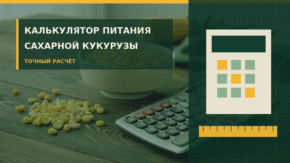 Калькулятор питания сахарной кукурузы с измерительными инструментами