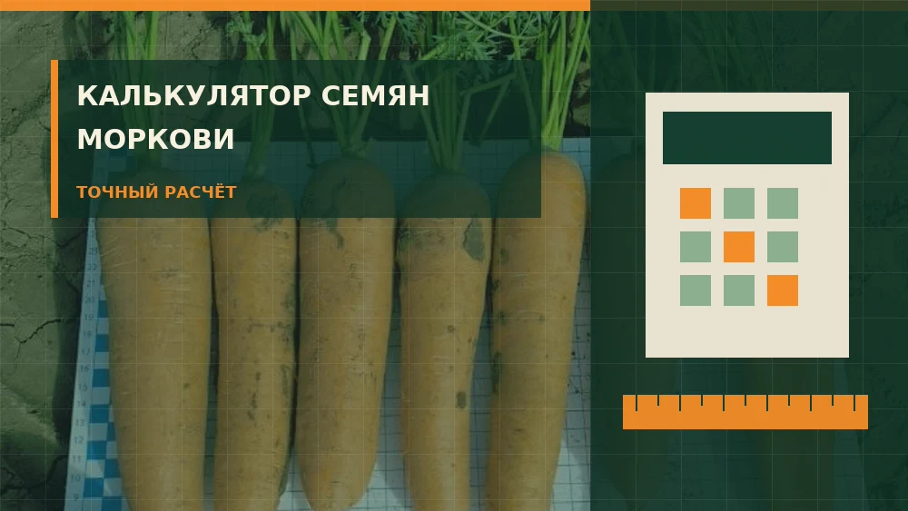 Калькулятор семян моркови с измерительными инструментами